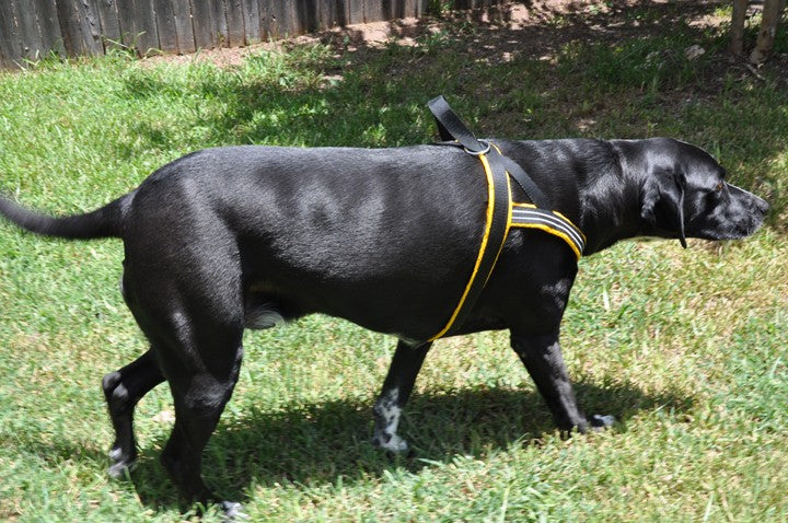 ComfortFlex Sport Harness