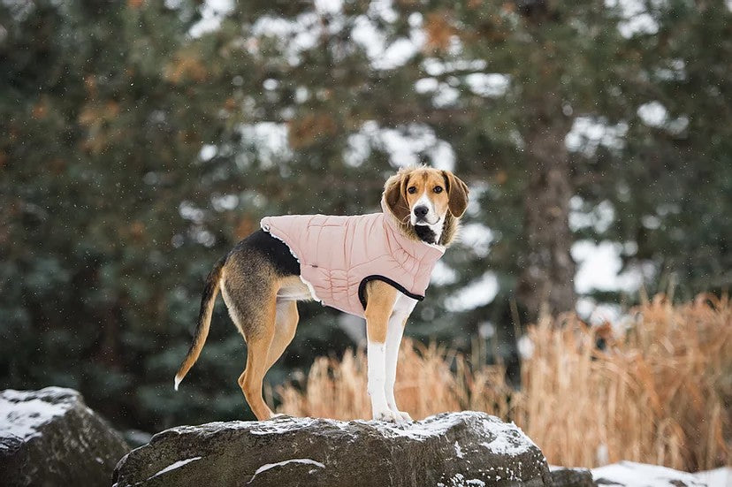 Urban Parka - Sherpa Lined Water Resistant Dog Coat