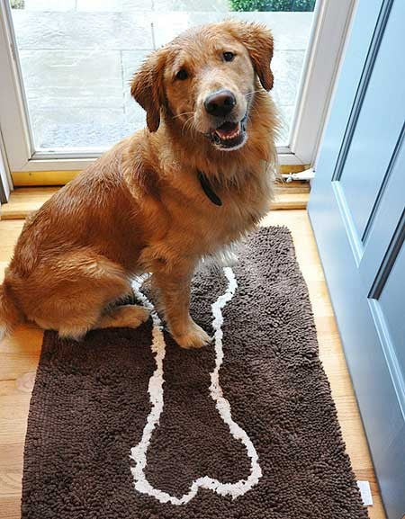 Soggy Doggy Doormat Dirty Paw Mat