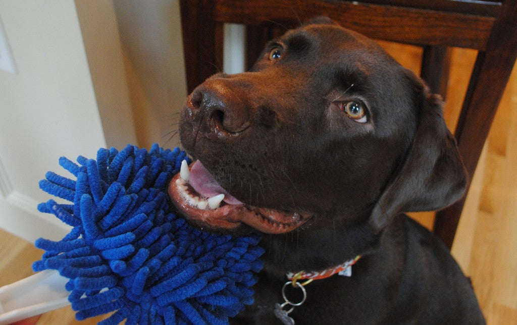 Soggy Doggy Slobber Swabber