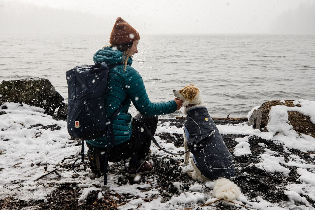 do dogs really need to wear a dog winter coat or dog jacket