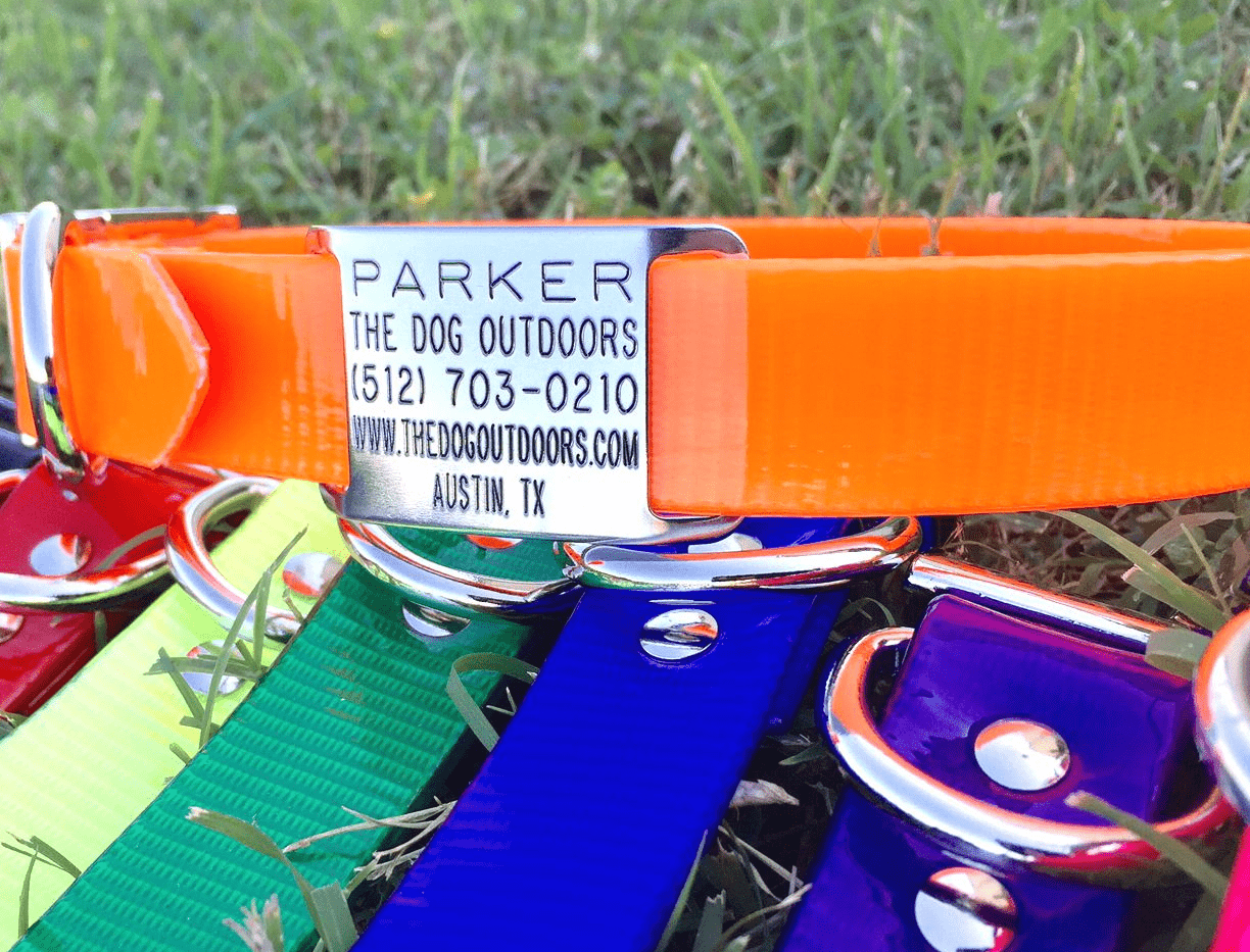 Waterproof Personalized Dog Collars With Slide On Name Plate