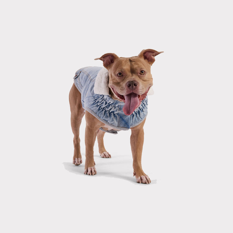 denim dog jean jackets and dog jean coats
