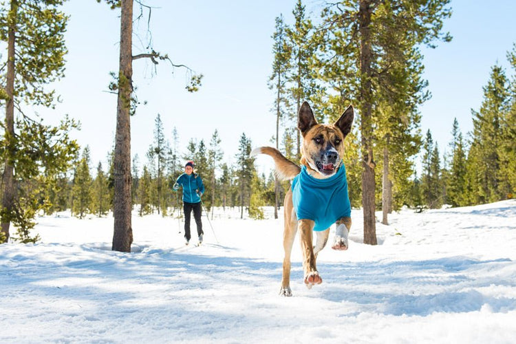 Discounted Dog Winter Gear (Clearance & Customer Returns) - The Dog Outdoors