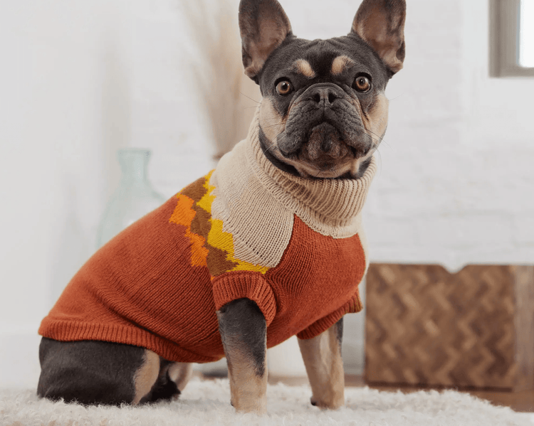 Dog Winter Sweaters - A Collection Of The Best Sweaters For Dogs For Fall & Winter