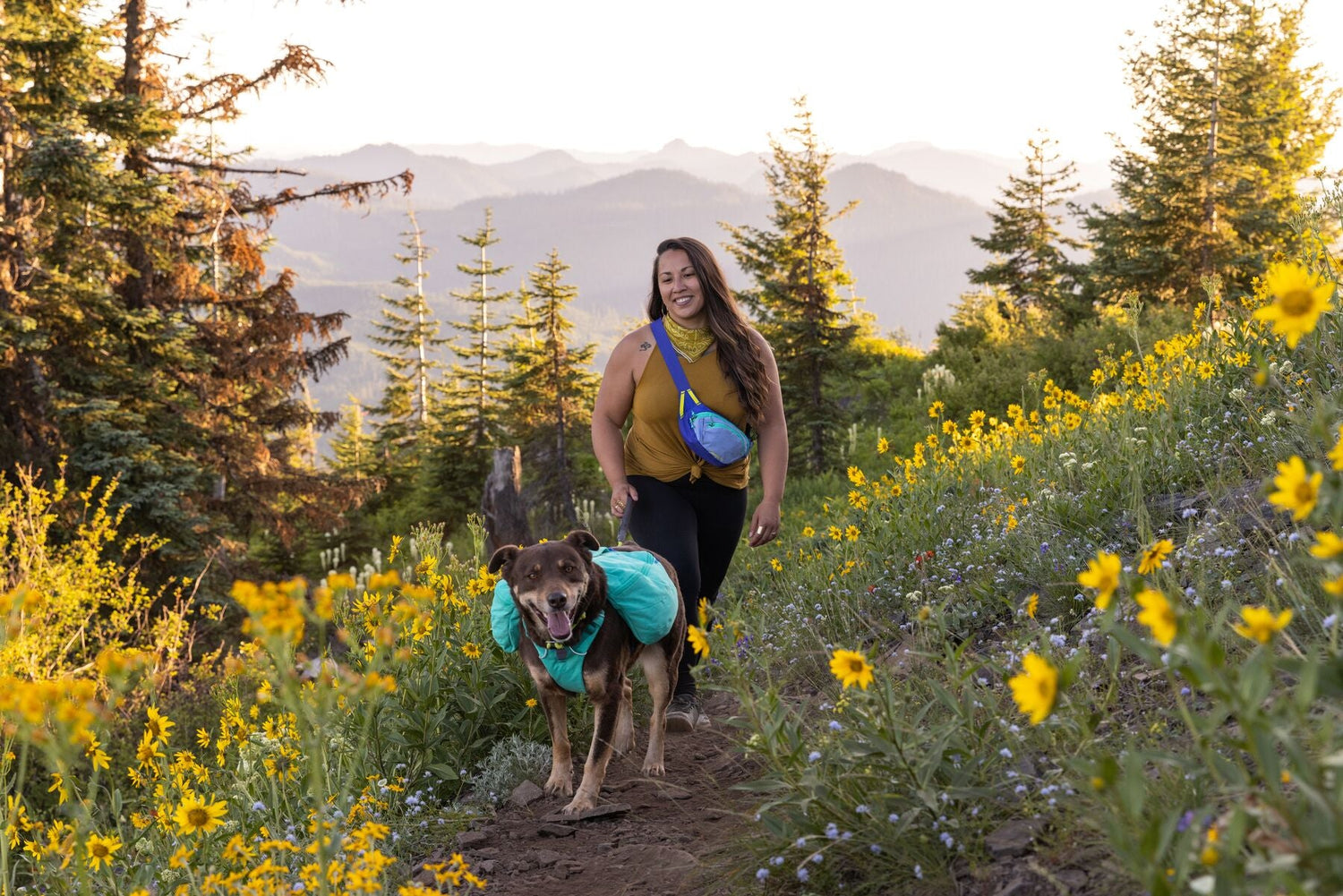 Discounted Dog Packs (Clearance & Customer Returns)