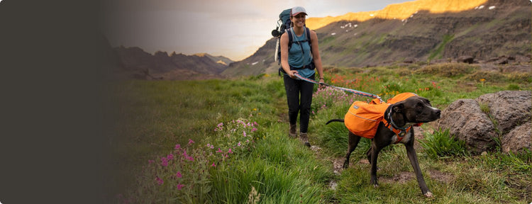 Shop By Activity - The Dog Outdoors