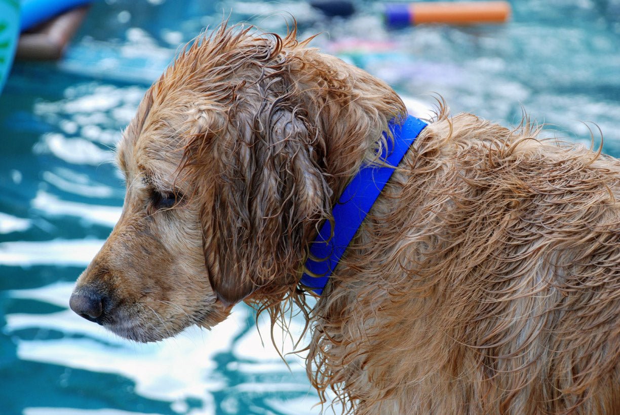 Best Selling Products Summer 2025