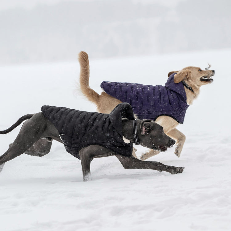 dog puffer jackets for winter