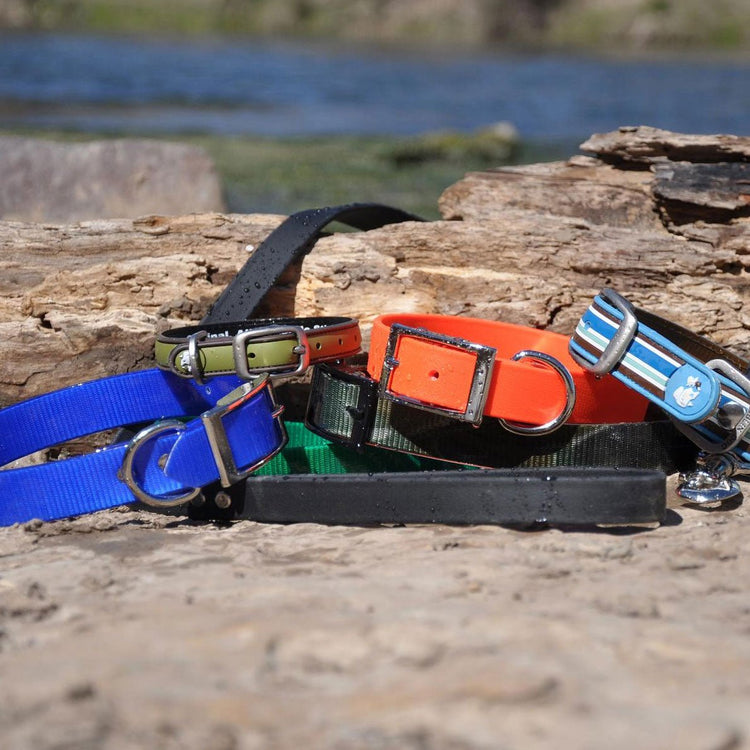 Waterproof Dog Collars - The Dog Outdoors