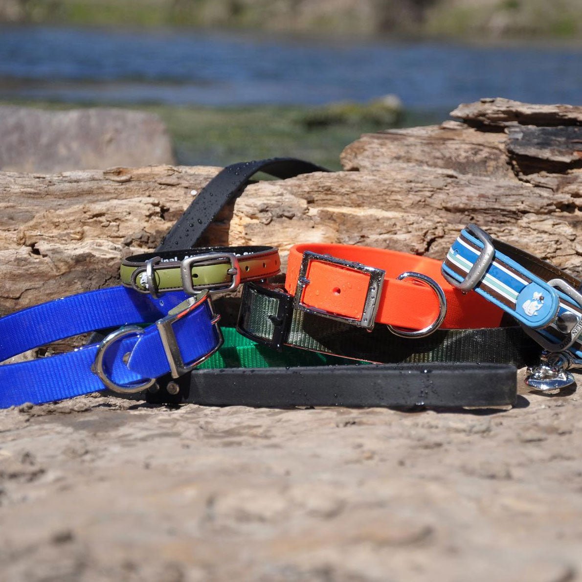 Waterproof Dog Collars