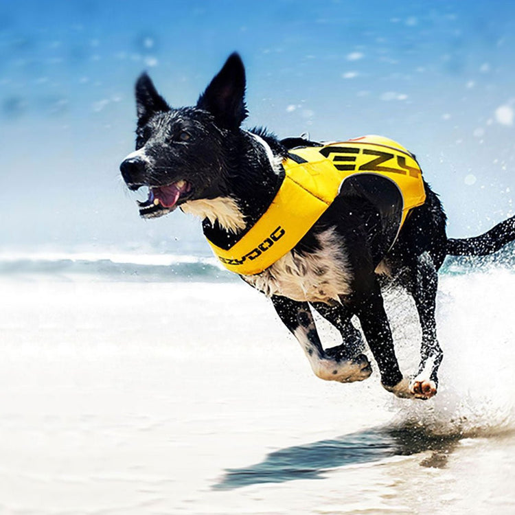 Beach and Bath Items - The Dog Outdoors