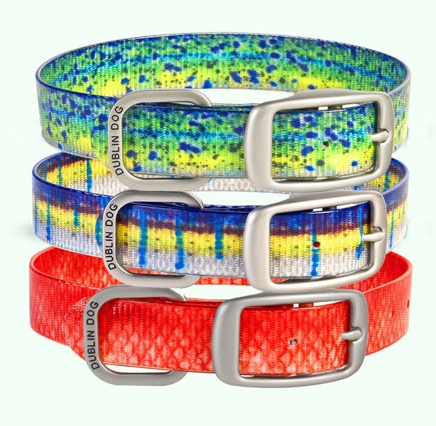 Dublin Dog KOA Collars - Saltwater Fish - The Dog Outdoors