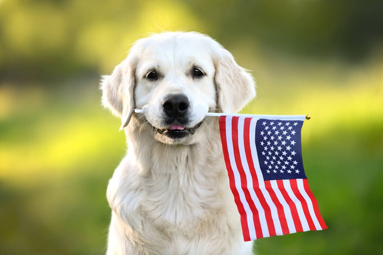 American Made Dog Products Made In The USA