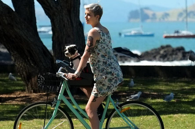 Biking - The Dog Outdoors