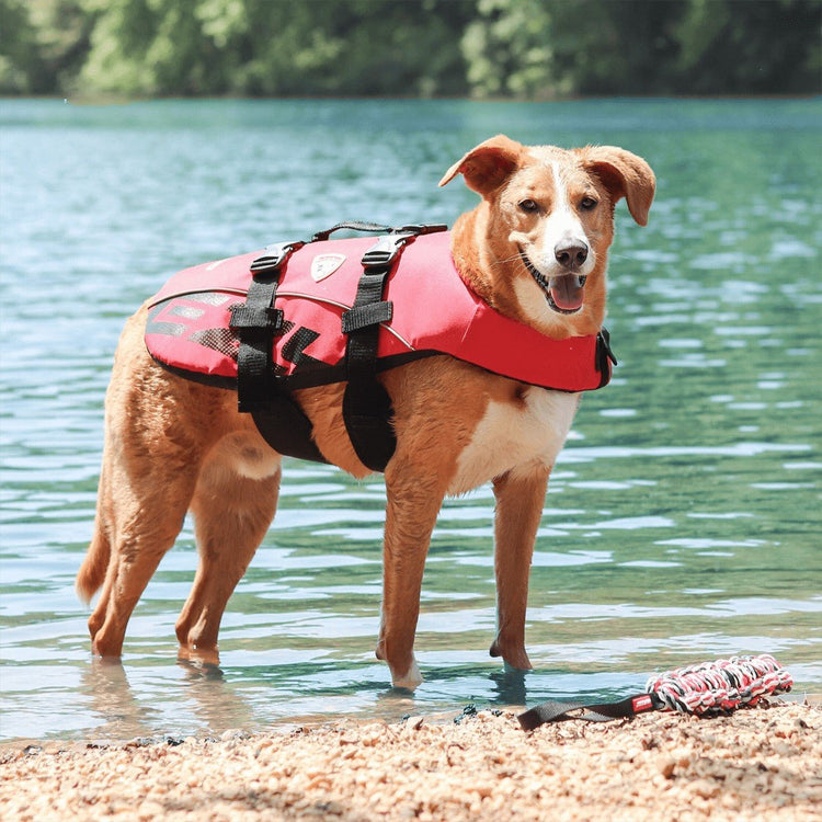 Discounted Dog Life Jackets (Clearance & Customer Returns) - The Dog Outdoors