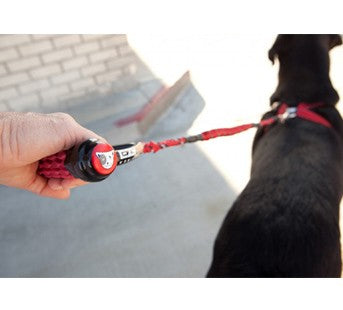 Bungee Dog Leashes
