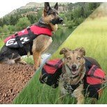 Dog Packs & Flotation - The Dog Outdoors