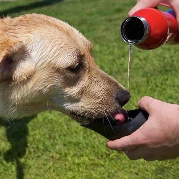 Dog Bowls & Hydration - The Dog Outdoors