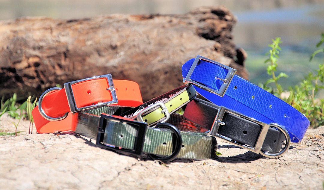 Discounted Dog Collars (Clearance)