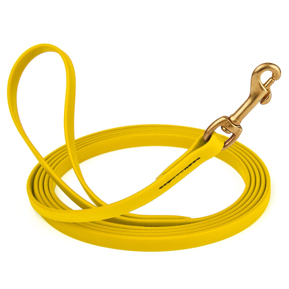 Biothane Long Line 20 ft Lead with Brass Hardware