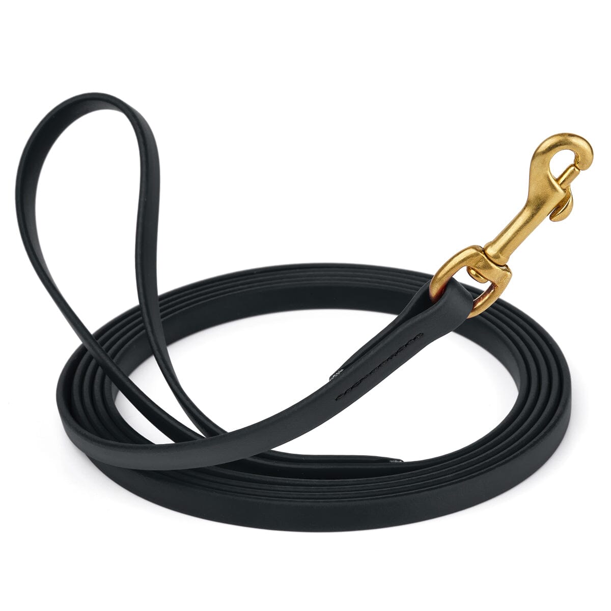 Biothane Long Line 33 ft Lead with Brass Hardware