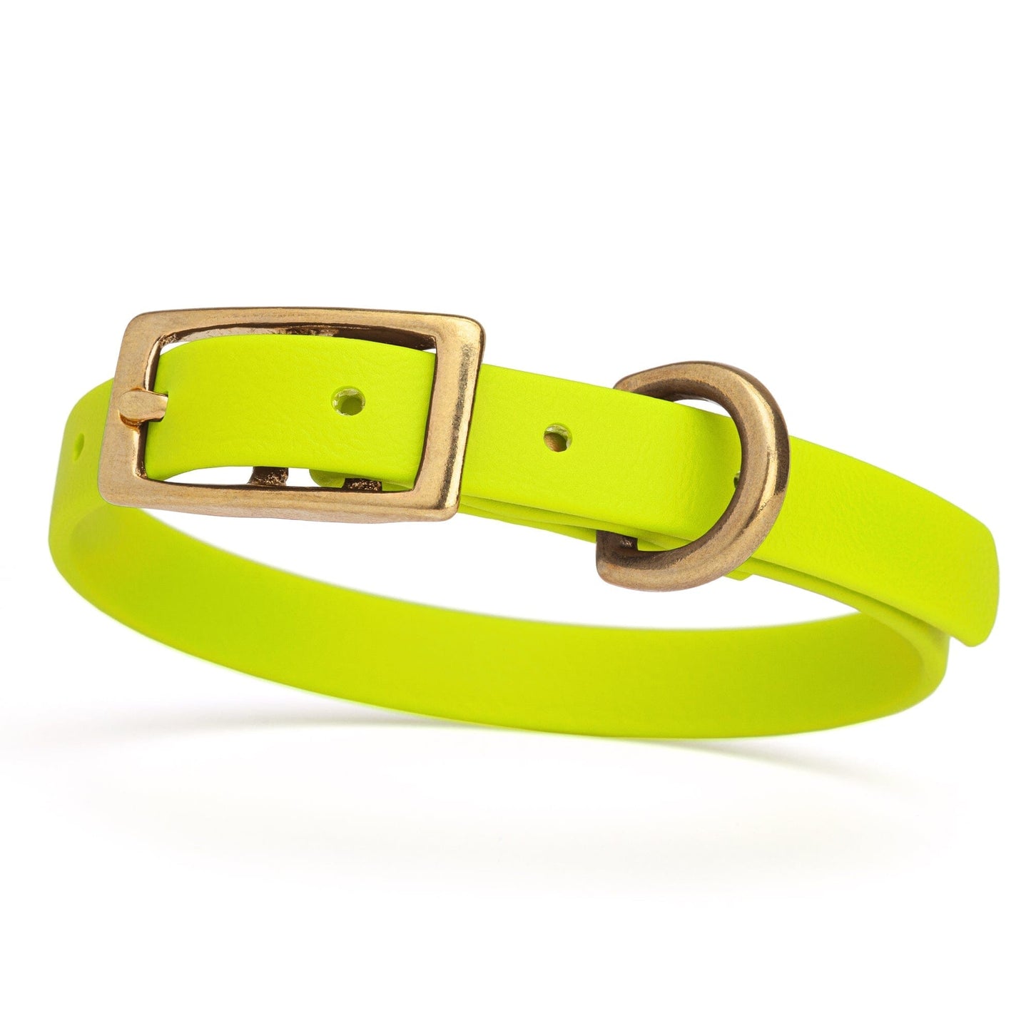 Viper Biothane Waterproof Dog Collar - Brass Hardware - Size XS (9 to 12 inches)