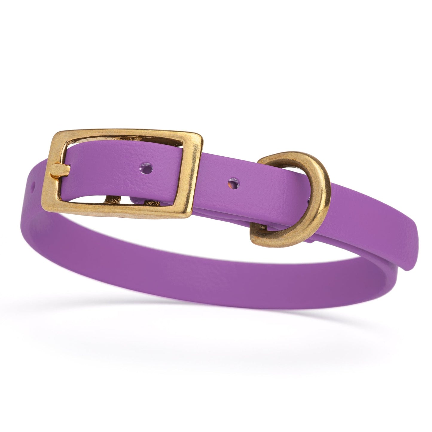 Viper Biothane Waterproof Dog Collar - Brass Hardware - Size XS (9 to 12 inches)