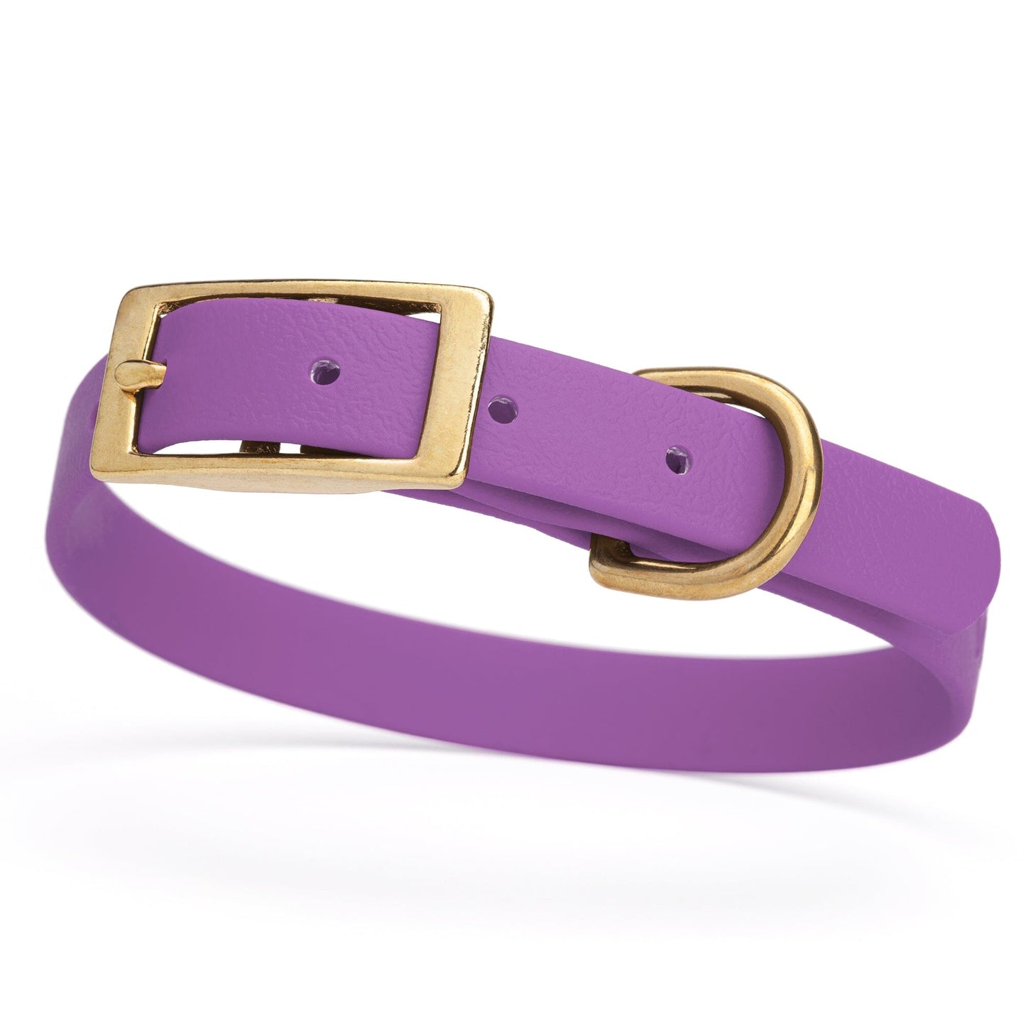 Viper Biothane Waterproof Dog Collar - Brass Hardware - Size S (12 to 15 inches)