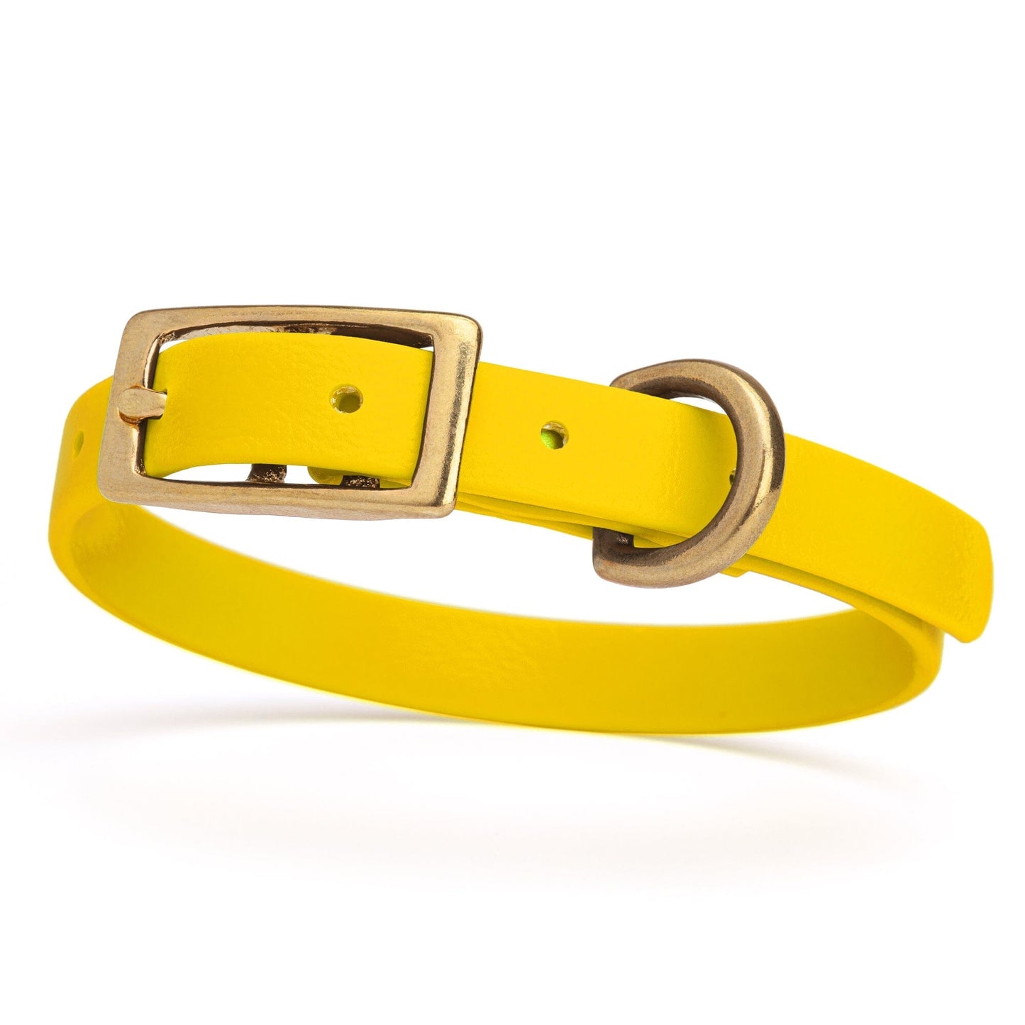 Viper Biothane Waterproof Dog Collar - Brass Hardware - Size XS (9 to 12 inches)