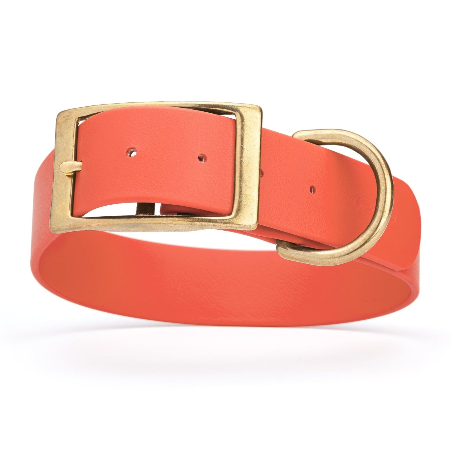 Viper Biothane Waterproof Dog Collar - Brass Hardware - 1.5in Wide, Size XL (20 to 24 inches)