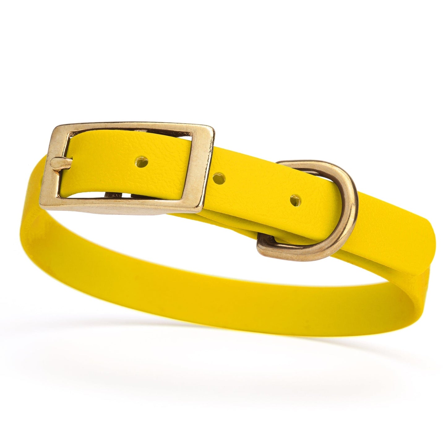Viper Biothane Waterproof Dog Collar - Brass Hardware - Size S (12 to 15 inches)