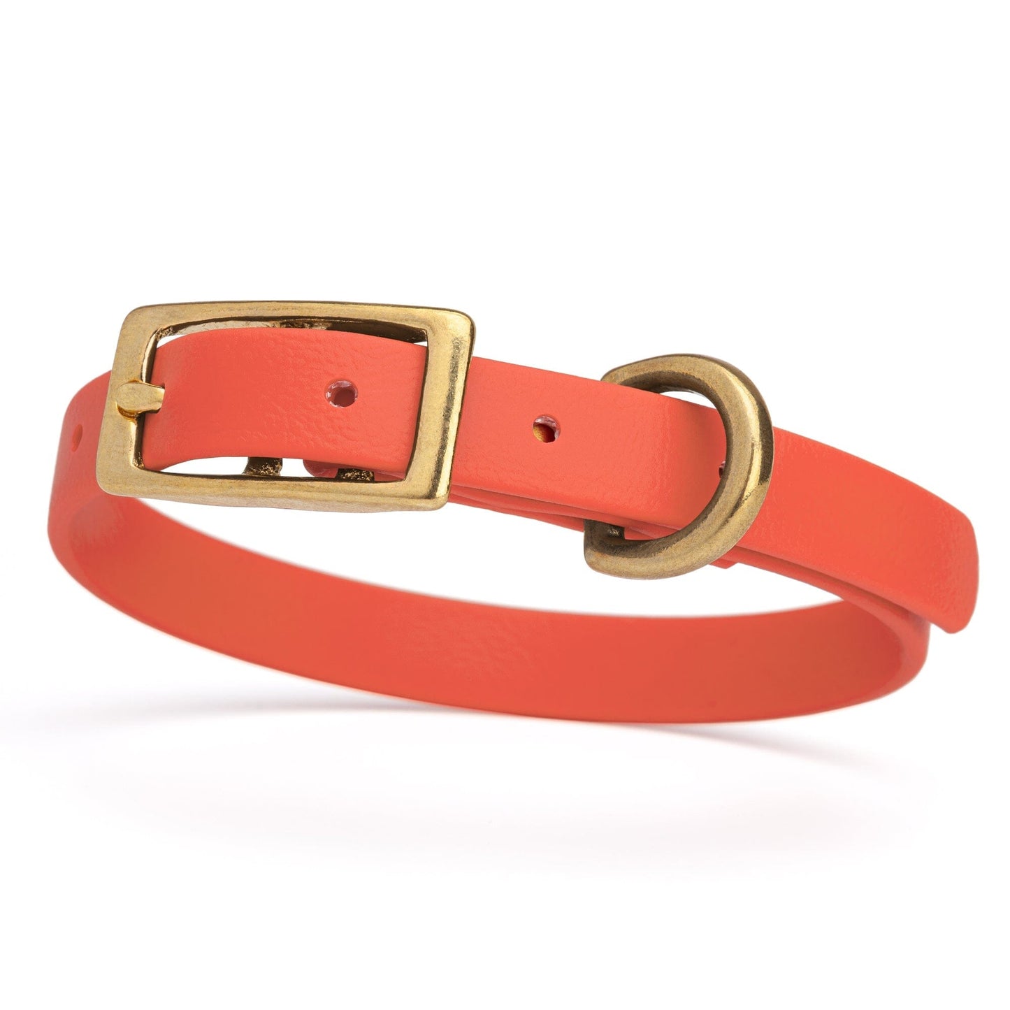 Viper Biothane Waterproof Dog Collar - Brass Hardware - Size XS (9 to 12 inches)