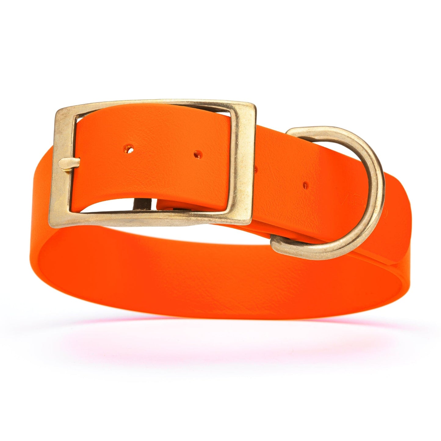 Viper Biothane Waterproof Dog Collar - Brass Hardware - 1.5in Wide, Size XL (20 to 24 inches)