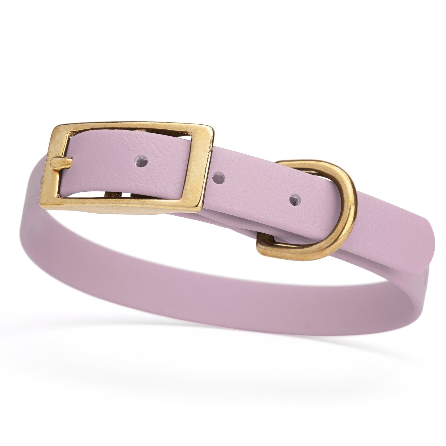Viper Biothane Waterproof Dog Collar - Brass Hardware - Size S (12 to 15 inches)