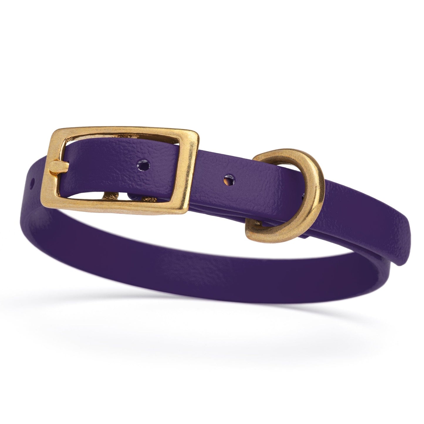 Viper Biothane Waterproof Dog Collar - Brass Hardware - Size XS (9 to 12 inches)