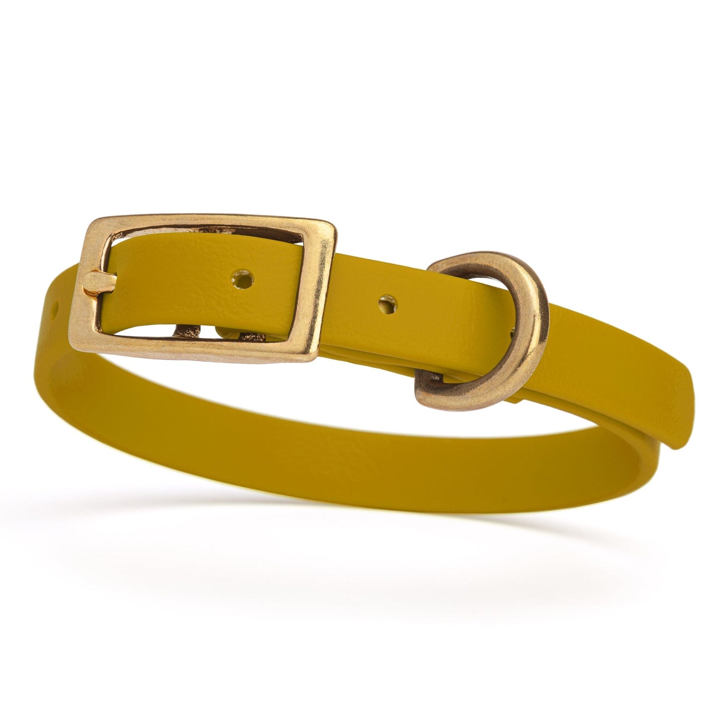 Biothane Waterproof Dog Collar - Brass Hardware - Size XS (9" - 12" Neck)