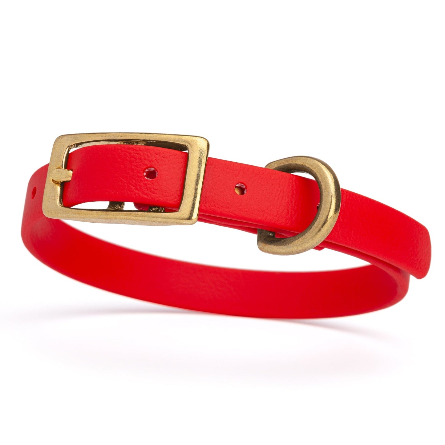 Viper Biothane Waterproof Dog Collar - Brass Hardware - Size XS (9 to 12 inches)