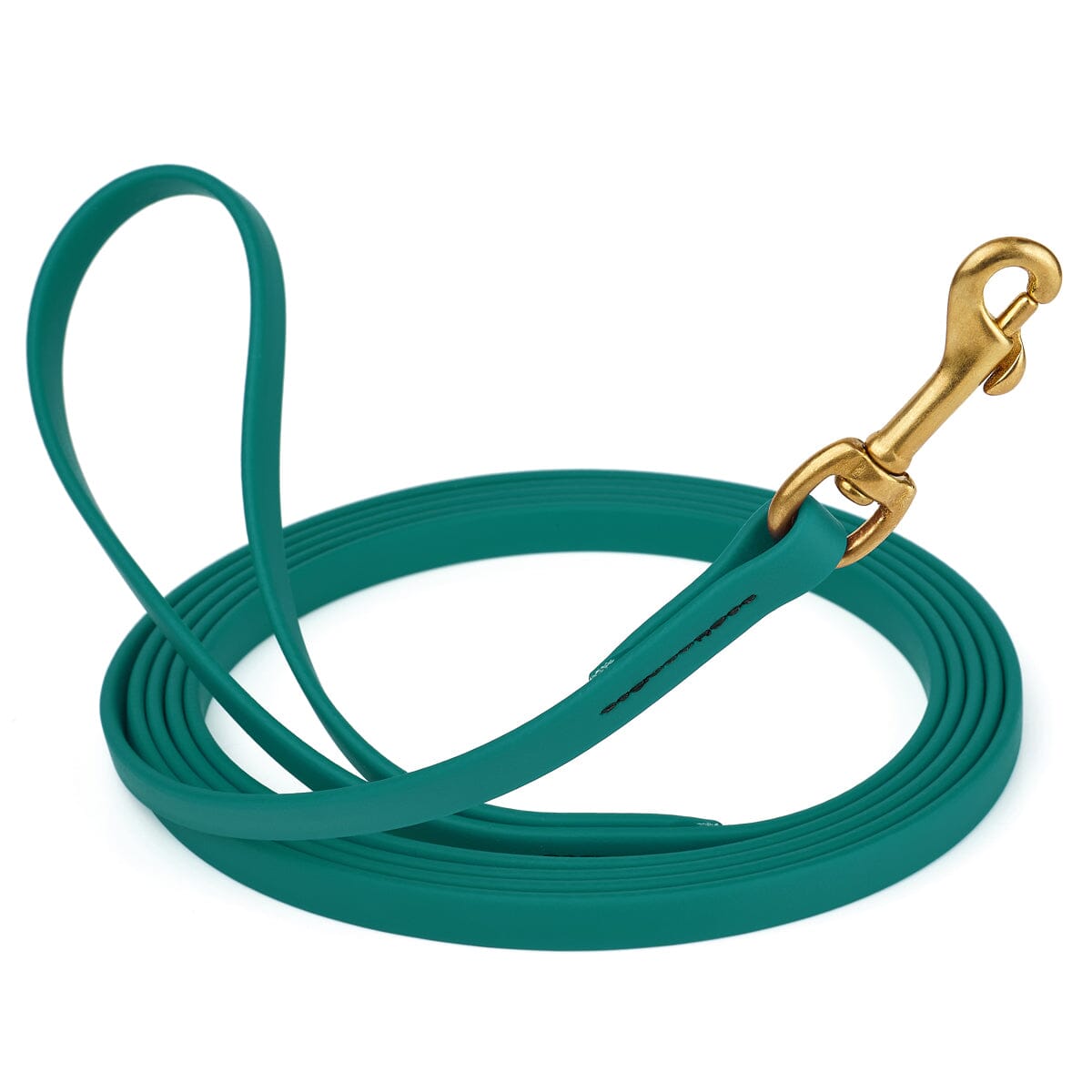 Biothane Long Line 33 ft Lead with Brass Hardware