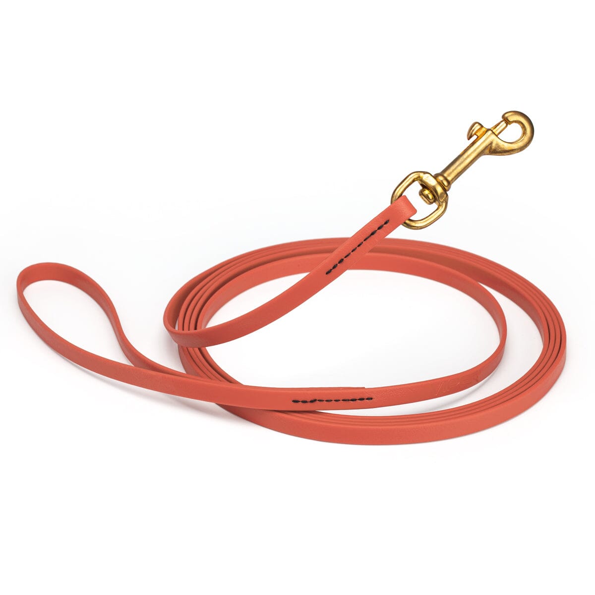 Biothane Long Line 33 ft Lead with Brass Hardware