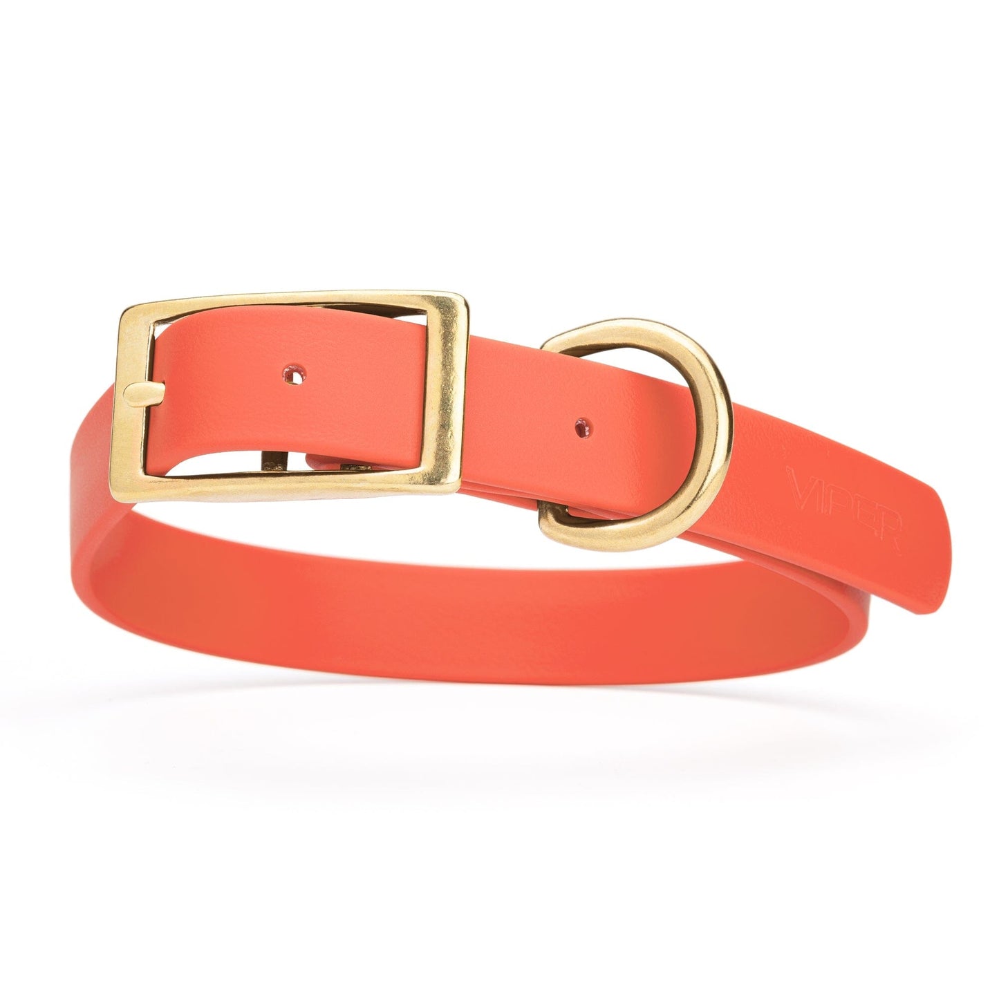Viper Biothane Waterproof Dog Collar - Brass Hardware - Size XL (22 to 25 inches)