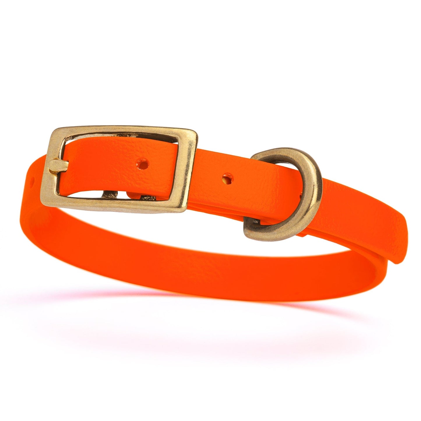Viper Biothane Waterproof Dog Collar - Brass Hardware - Size XS (9 to 12 inches)