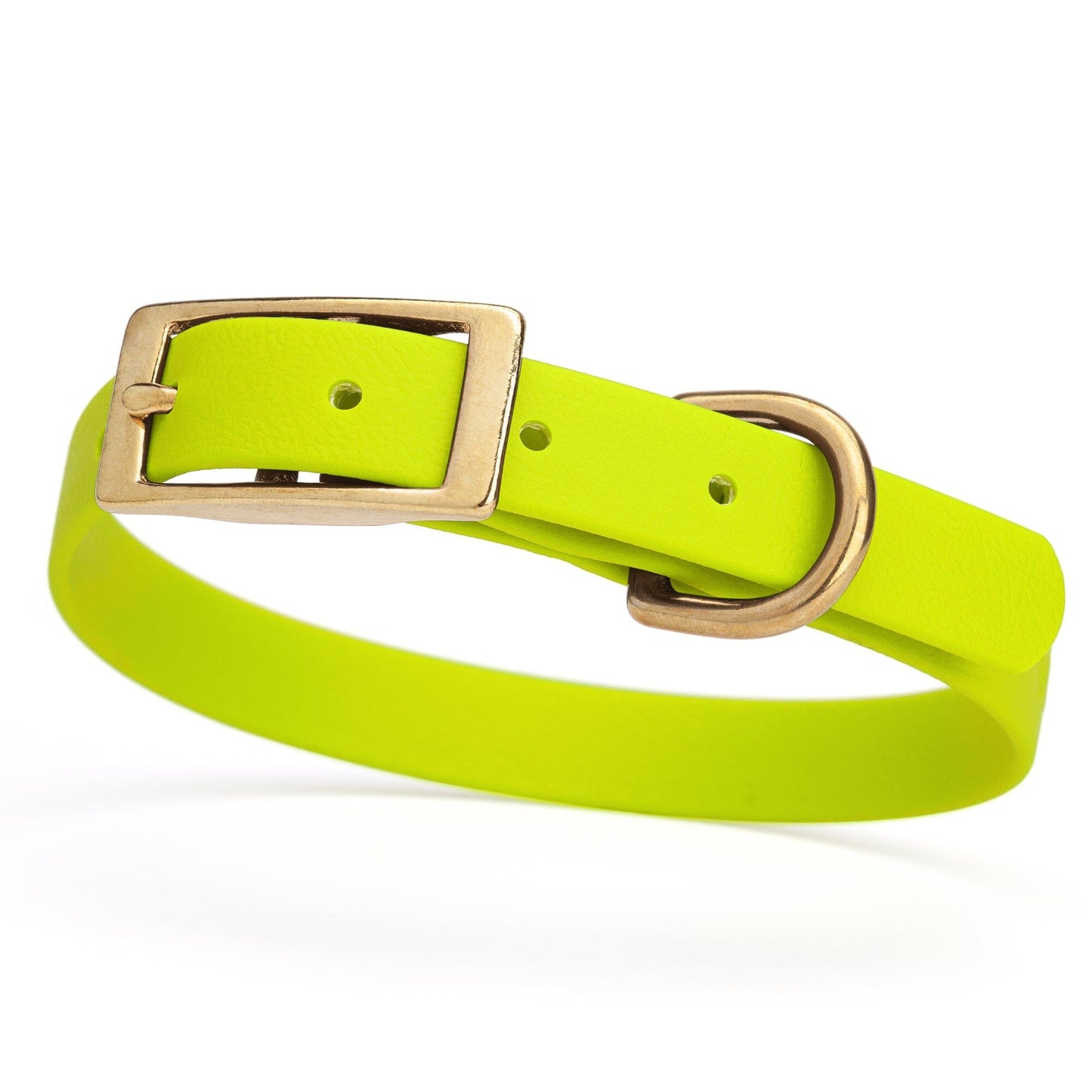 Viper Biothane Waterproof Dog Collar - Brass Hardware - Size S (12 to 15 inches)