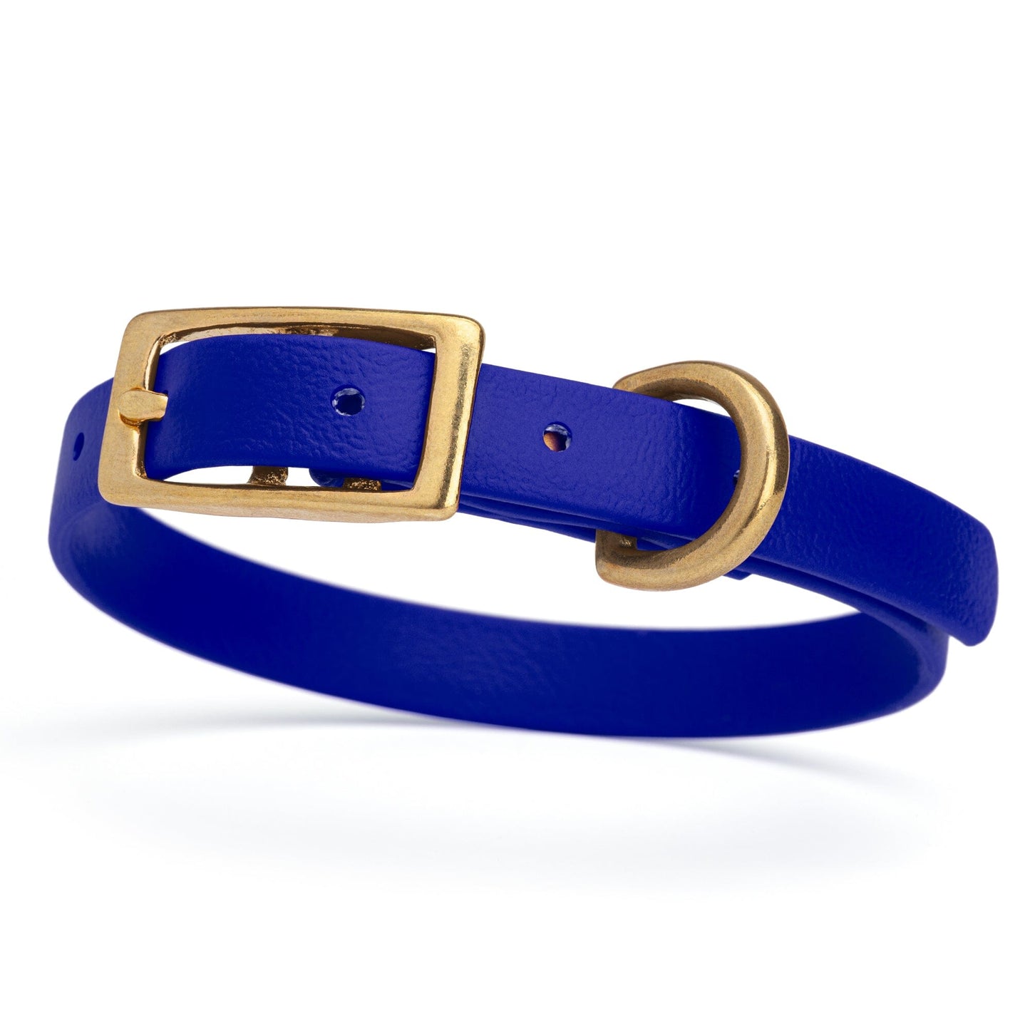 Biothane Waterproof Dog Collar - Brass Hardware - Size XS (9" - 12" Neck)