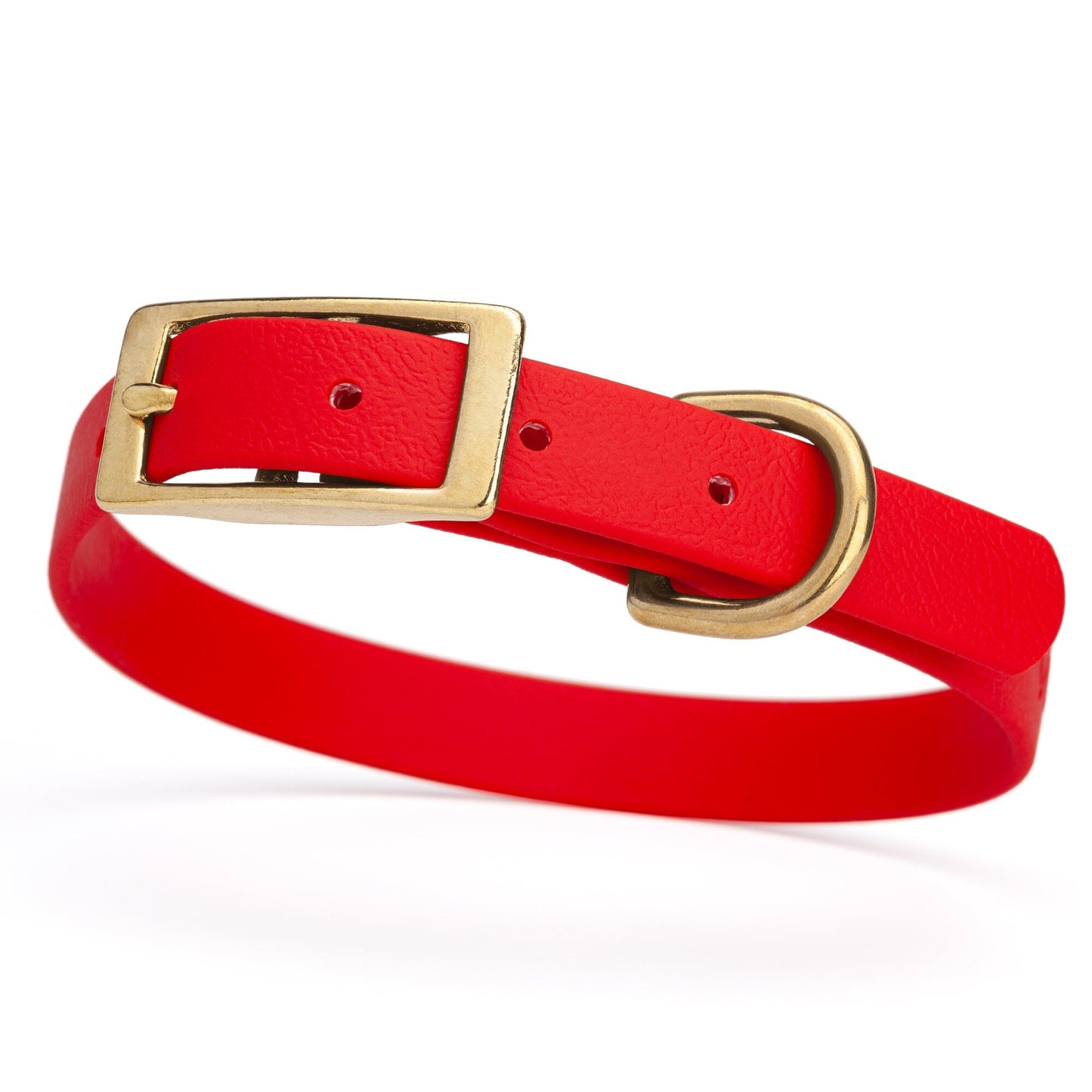 Viper Biothane Waterproof Dog Collar - Brass Hardware - Size S (12 to 15 inches)