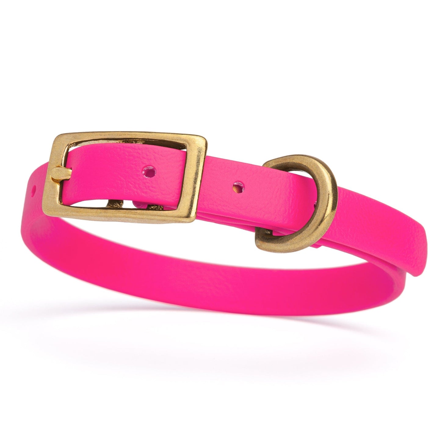 Viper Biothane Waterproof Dog Collar - Brass Hardware - Size XS (9 to 12 inches)
