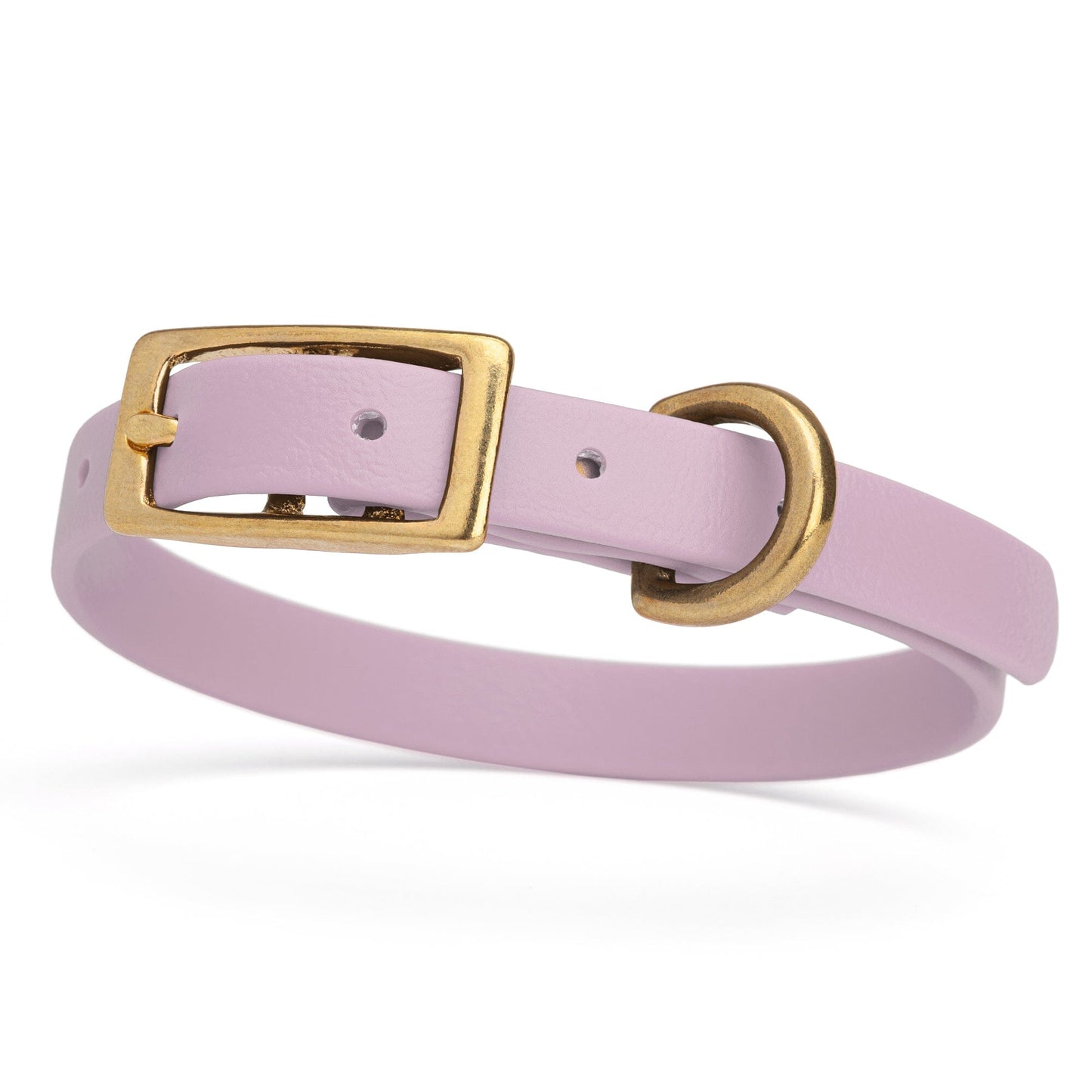 Viper Biothane Waterproof Dog Collar - Brass Hardware - Size XS (9 to 12 inches)