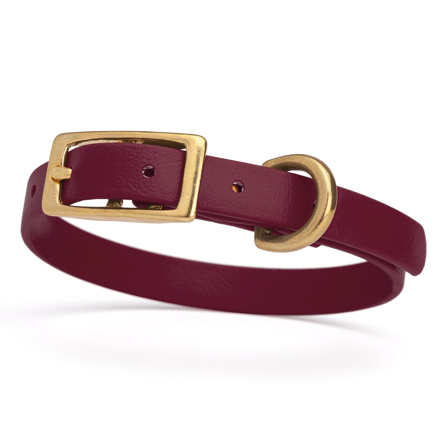 Viper Biothane Waterproof Dog Collar - Brass Hardware - Size XS (9 to 12 inches)