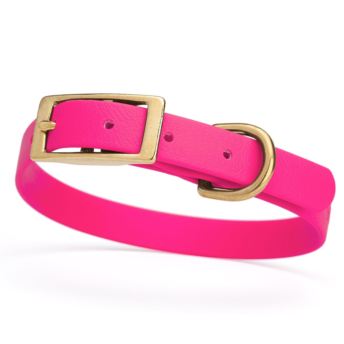 Viper Biothane Waterproof Dog Collar - Brass Hardware - Size S (12 to 15 inches)