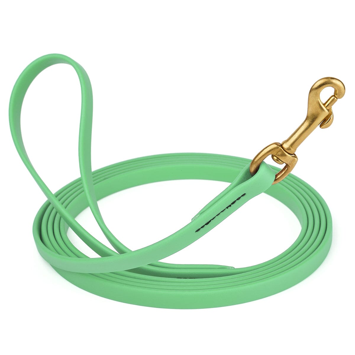 Biothane Long Line 33 ft Lead with Brass Hardware